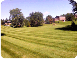 Photo of Landscaping