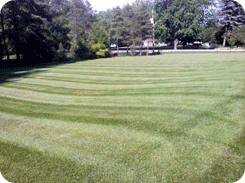 Photo of Landscaping 2