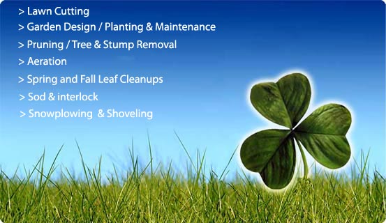 Shamrock Property Maintenance Service List